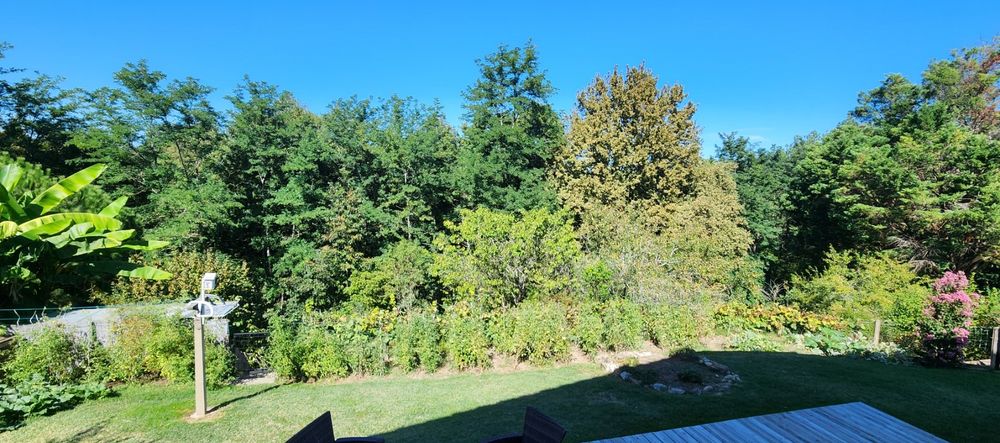 Hagetmau - Belle maison familiale entièrement rénovée - 95m²