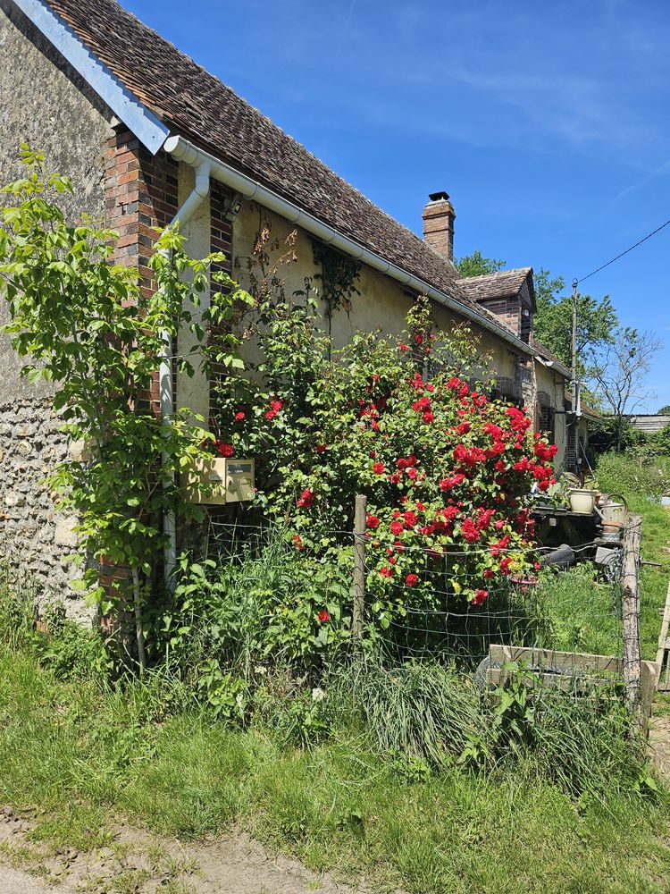 Longère et grange dans cadre bucolique