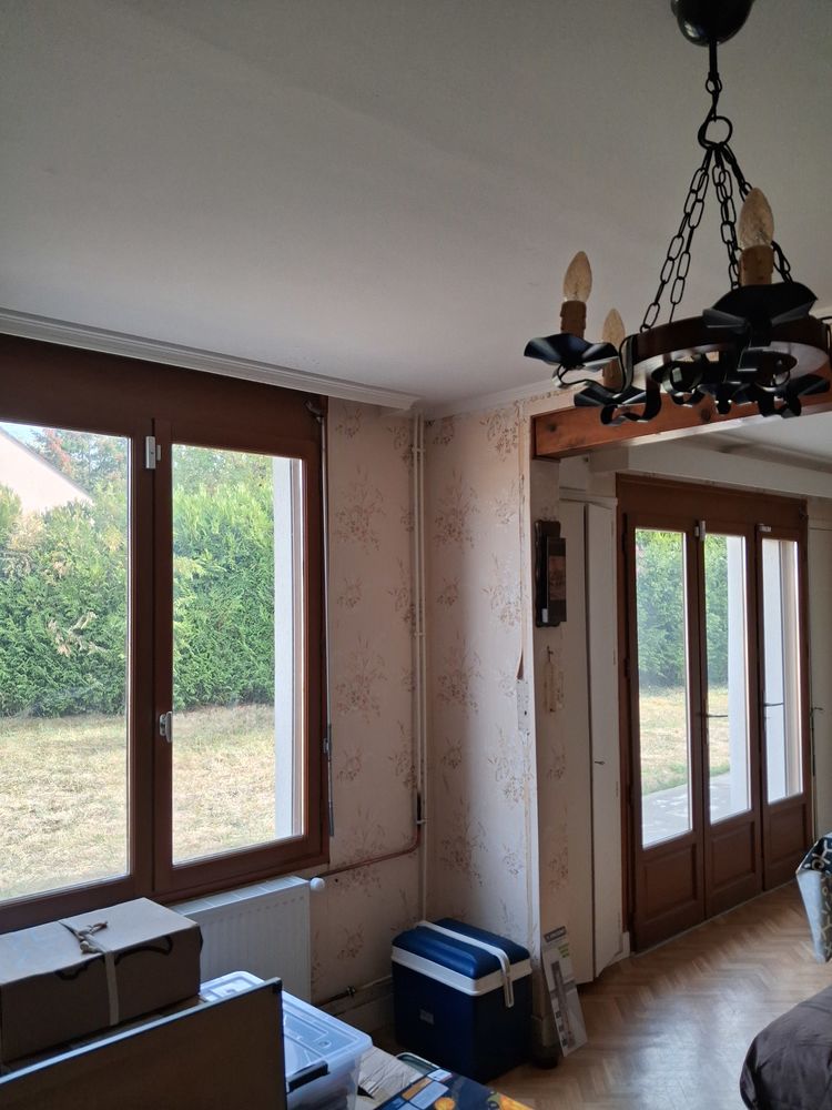 maison avec grand terrain