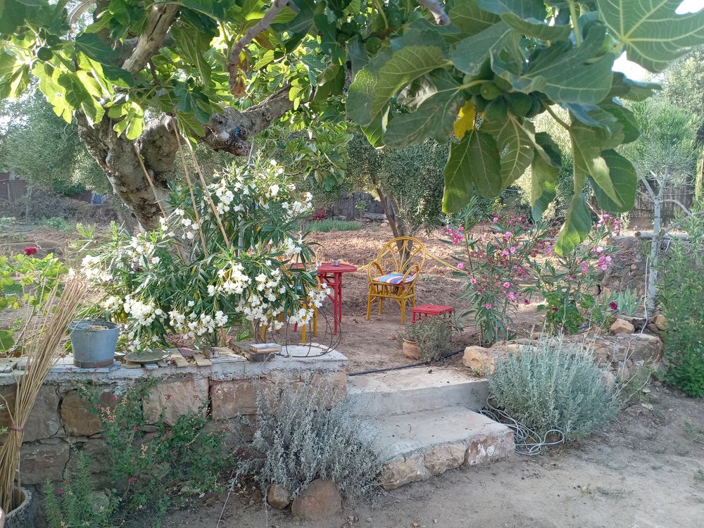 Nord du Maroc, maison avec jardin dans la montagne