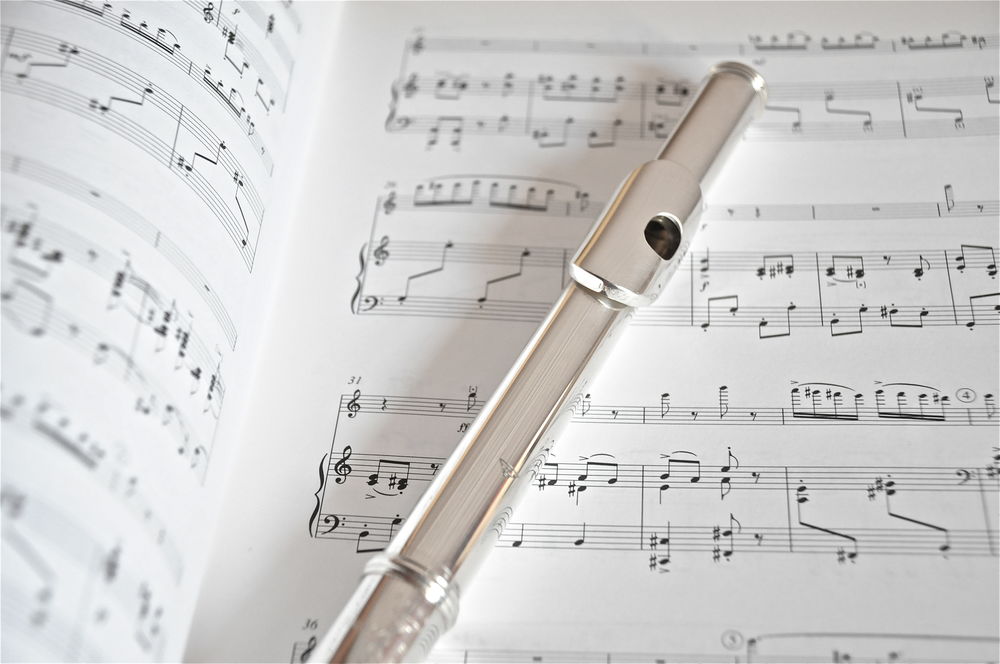 Cours particuliers de Fl&ucirc;te traversi&egrave;re 0 22400 Lamballe