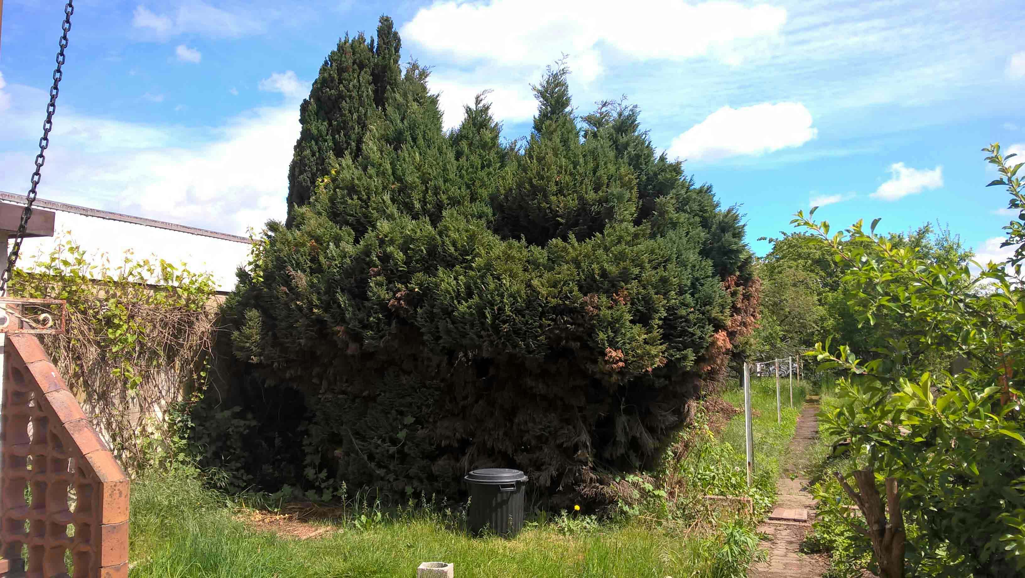 abattage 0 57000 Metz