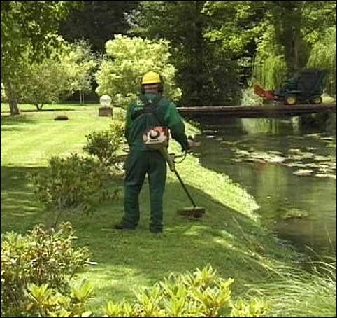 Entretien espaces verts 0 57000 Metz