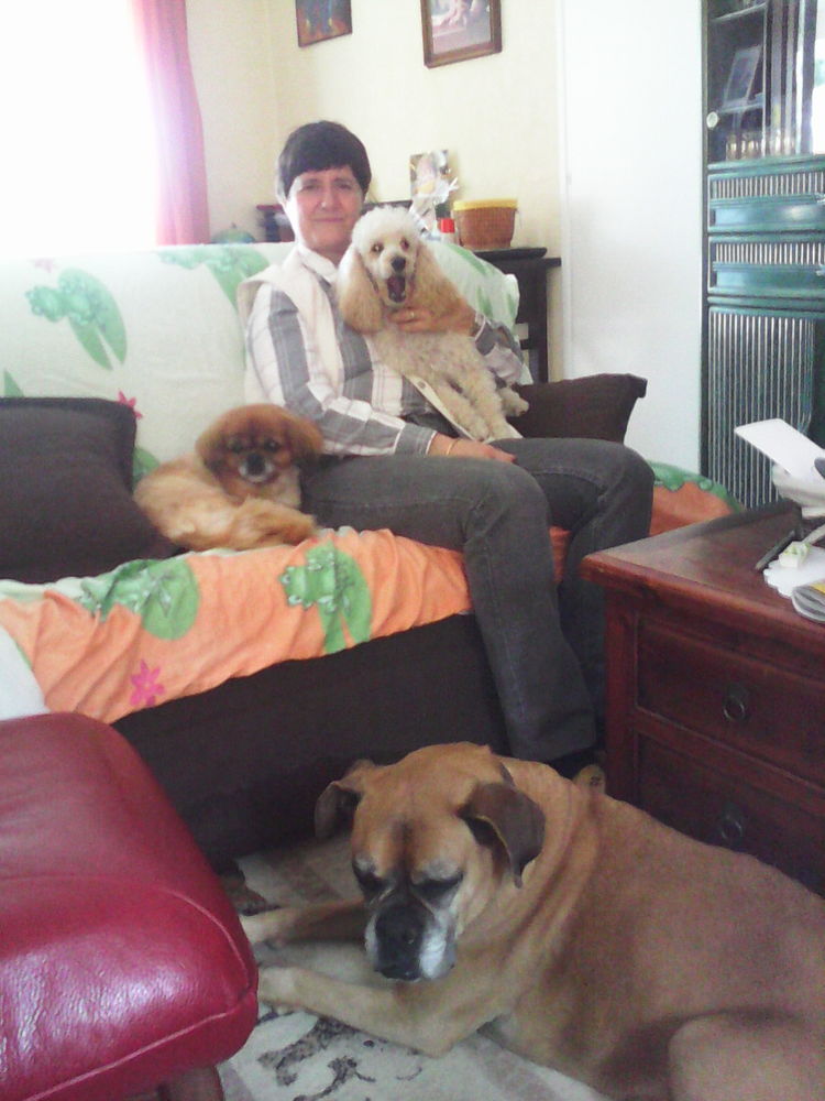 GARDE DE CHIENS 0 40000 Mont-de-marsan