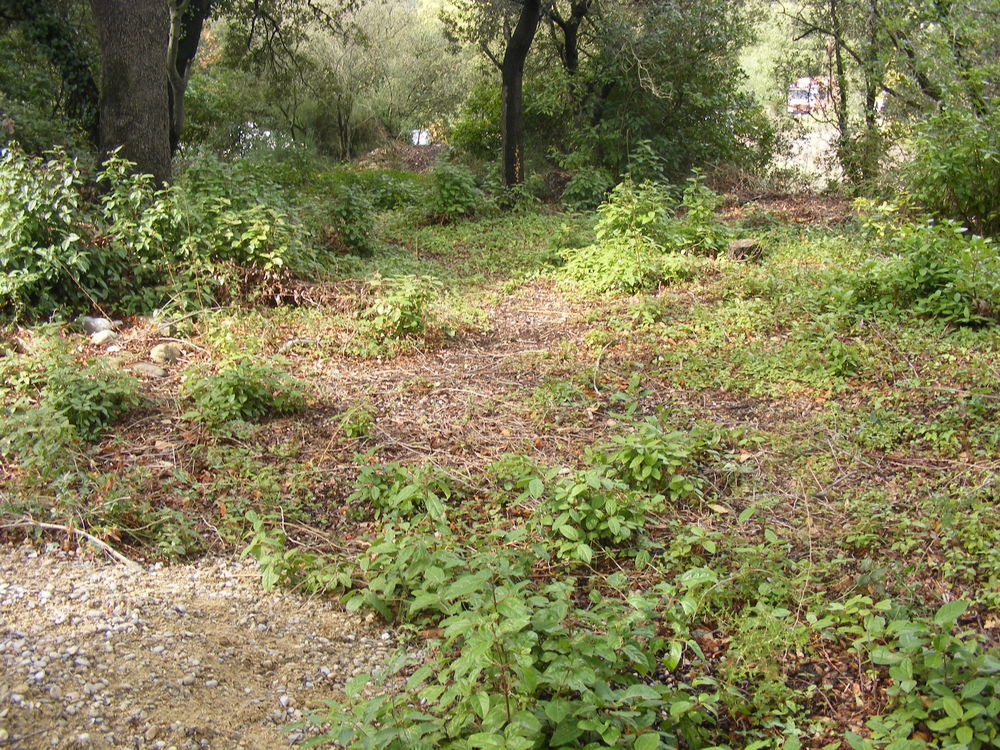 Besoin d un d&eacute;broussailleur? 0 83400 Hy�res