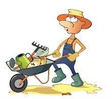 SERVICE D'AIDE A DOMICILE. 0 02450 La neuville-l�s-dorengt