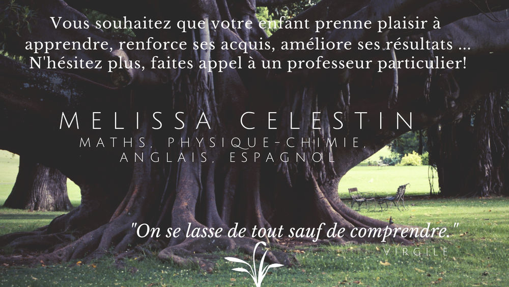 Cours particuliers de Maths et/ou Physique-Chimie 0 97220 La trinit�