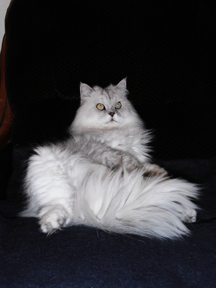 Bienvenue chez nous 0 66000 Perpignan