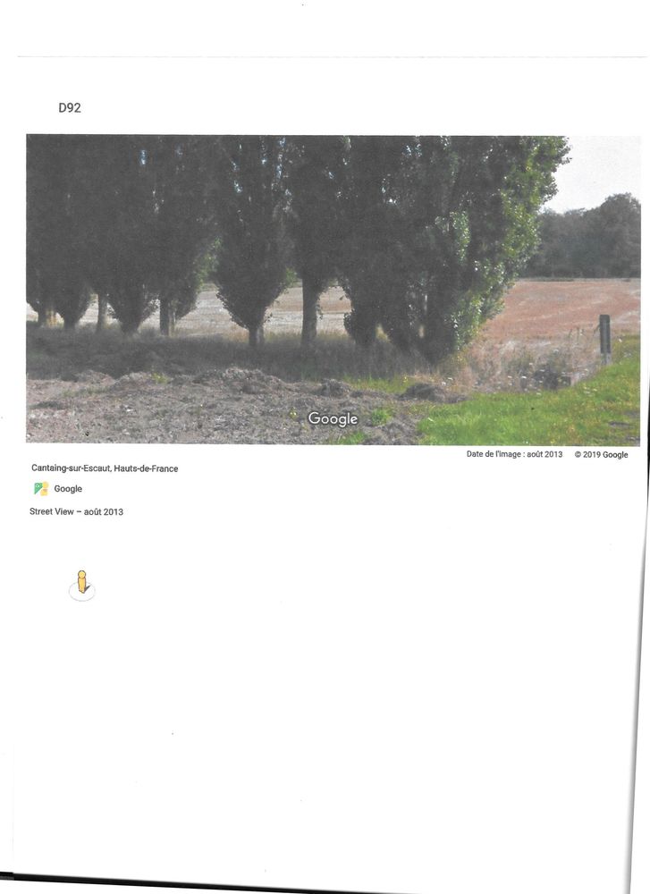 peupliers Adultes 13 situ&eacute; &agrave; proximit&eacute; de route, 0 80430 Lafresguimont-saint-martin