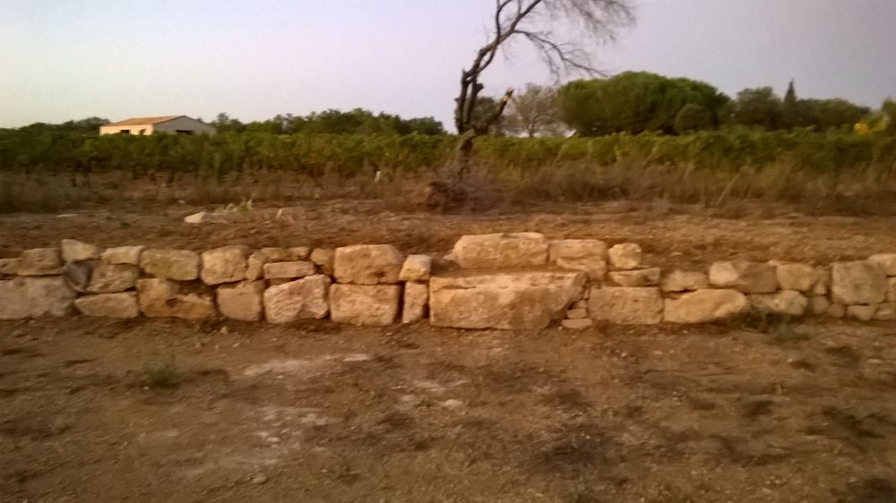 Cherche une partenaire  &agrave; la ferme &eacute;levage jardin 0 34500 B�ziers