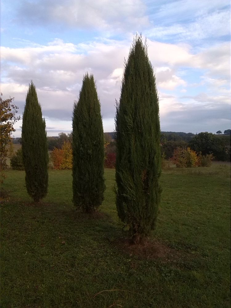 Conseils, orientation compliqu&eacute;e, &eacute;volution difficile ? 0 32190 Vic-fezensac