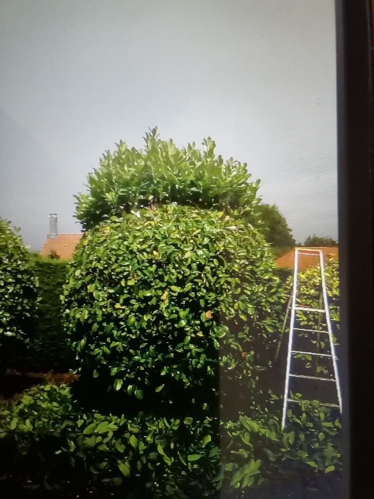 Jardinage, bricolage, peinture 0 62340 Gu�nes