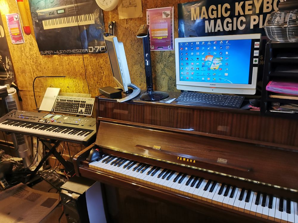 Professeur donne cours de Piano, Solfege PAR VISIOCONFERENCE 0 95870 Bezons