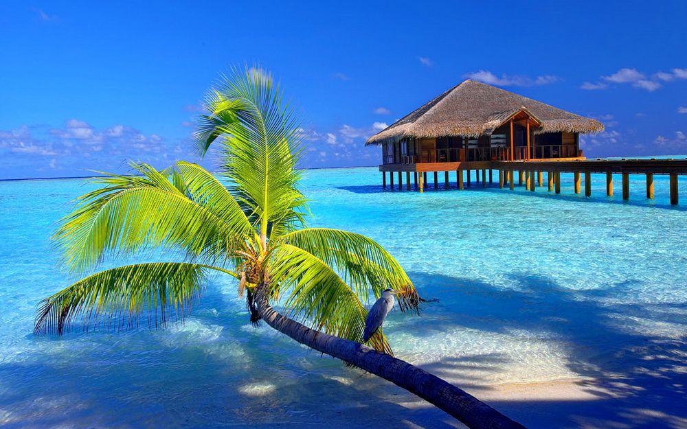 Soutien Psychologique - Th&eacute;rapie jeunes et adultes 0 03100 Montlu�on