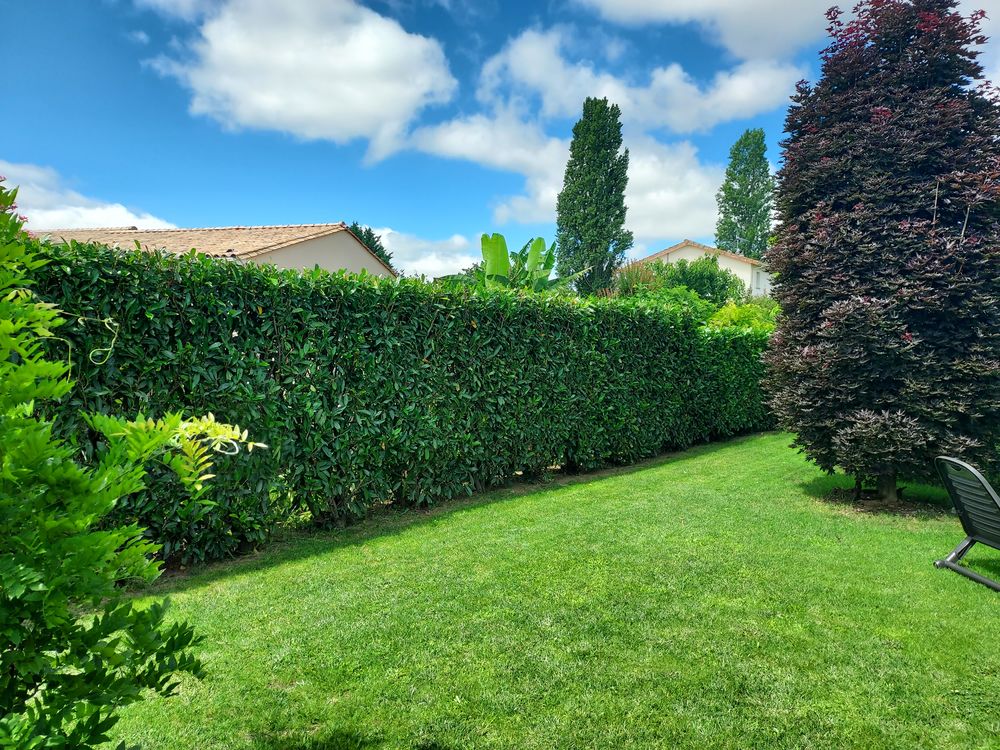 Jardinage pr&egrave;s de Cubzac-Les-Ponts 0 33240 Cubzac-les-ponts