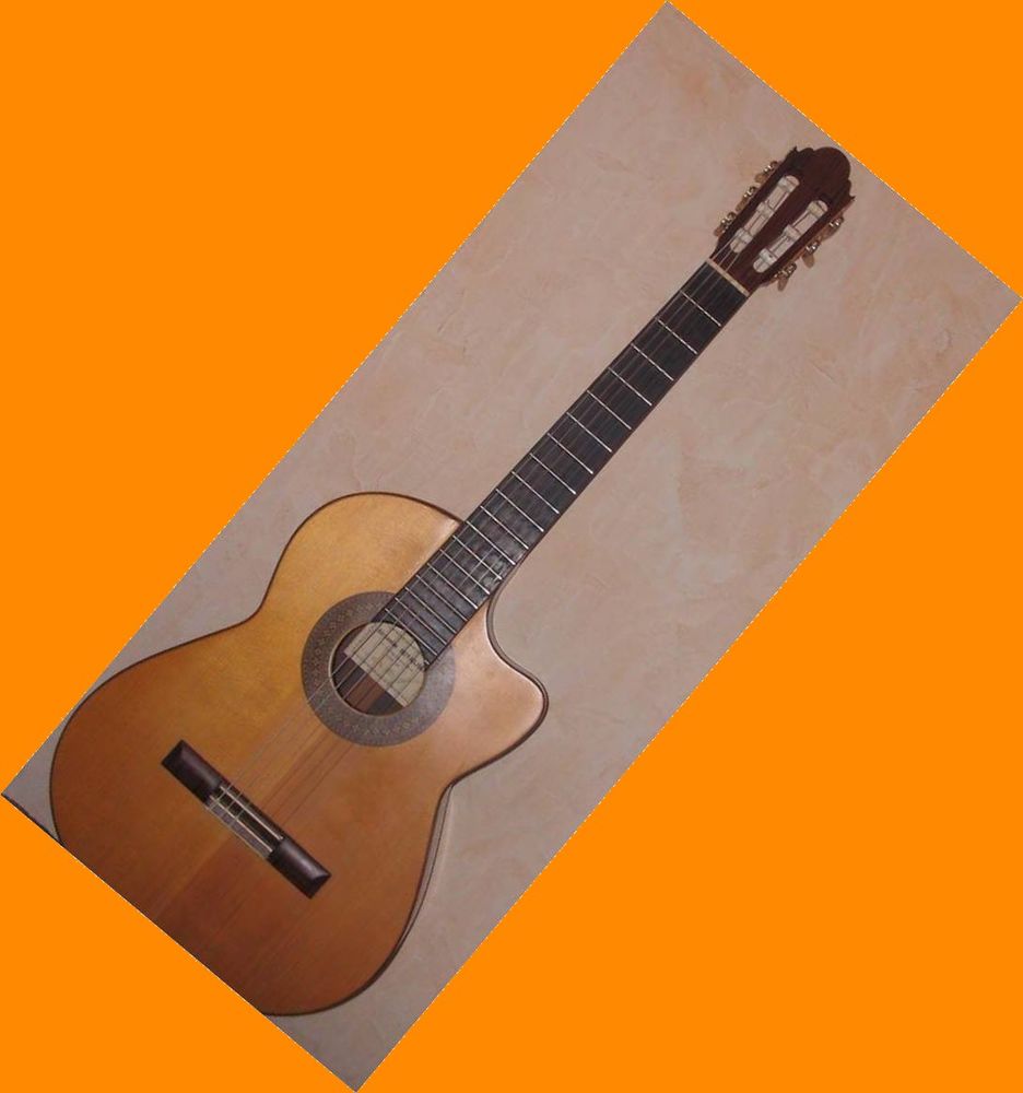 Cours particuliers de guitare &agrave; domicile 0 69390 Vourles