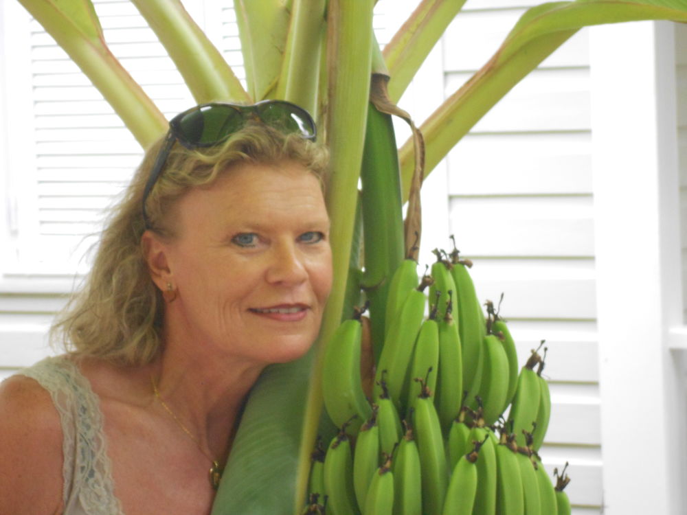 Aide &agrave; la personne &agrave; domicile. 0 74600 Seynod