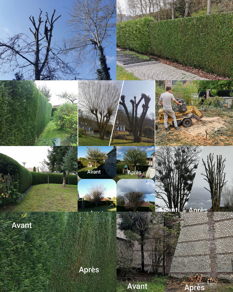 &Eacute;lagueur 0 76000 Rouen