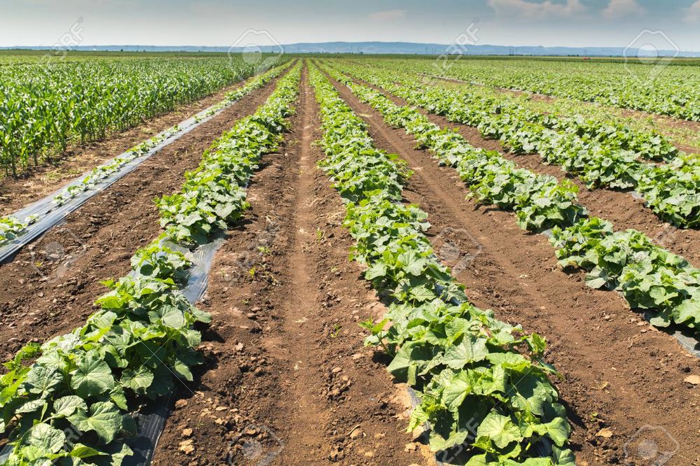 Recherche un emploi en temps partiel 0 46090 Le montat