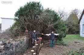 Destructions de haie abattage arrachage &eacute;vacuation 0 80190 Morchain