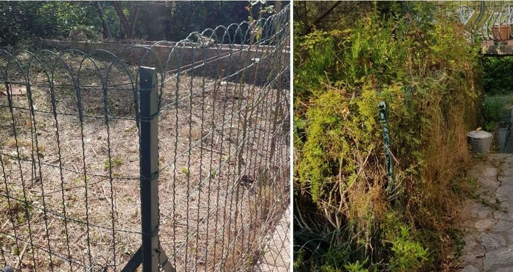 Debrousaillage tout terrain 0 06370 Mouans-sartoux