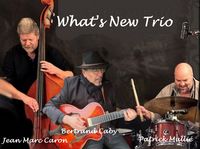 Trio jazz WHAT's NEW 0 59500 Douai