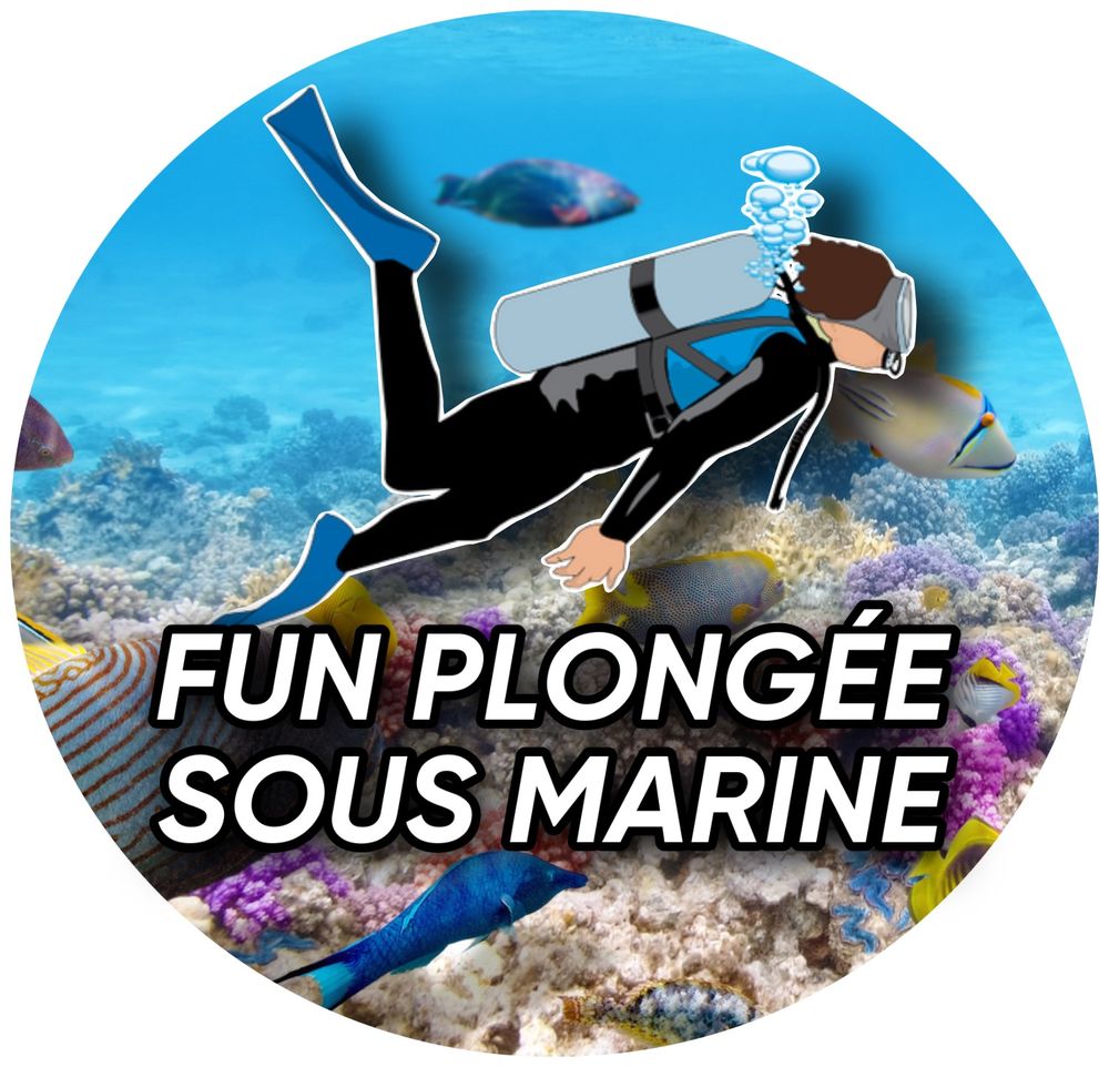 BAPTEME PLONGEE SOUS MARINE 0 69830 Saint-georges-de-reneins