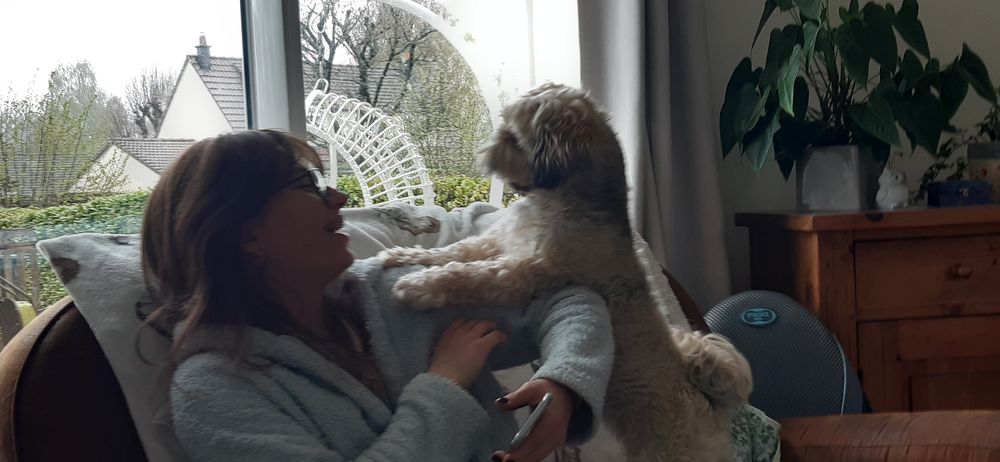 Garde de chien 0 76420 Bihorel