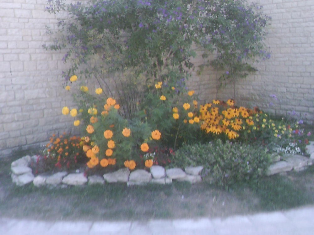 JARDINIER A VOTRE SERVICE 0 77500 Chelles