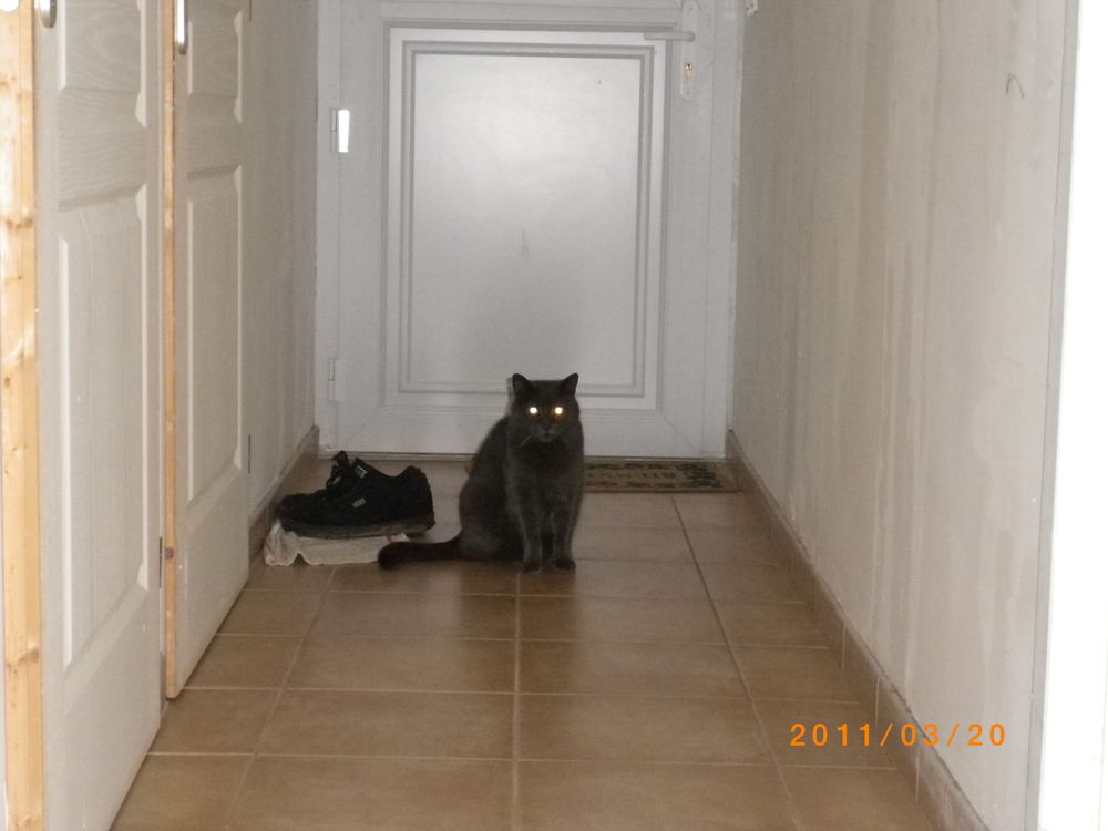 Pension service garde chat 0 74330 Nonglard