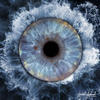 Faites de l'iris de vos yeux un super tableau artistique 0 42300 Roanne