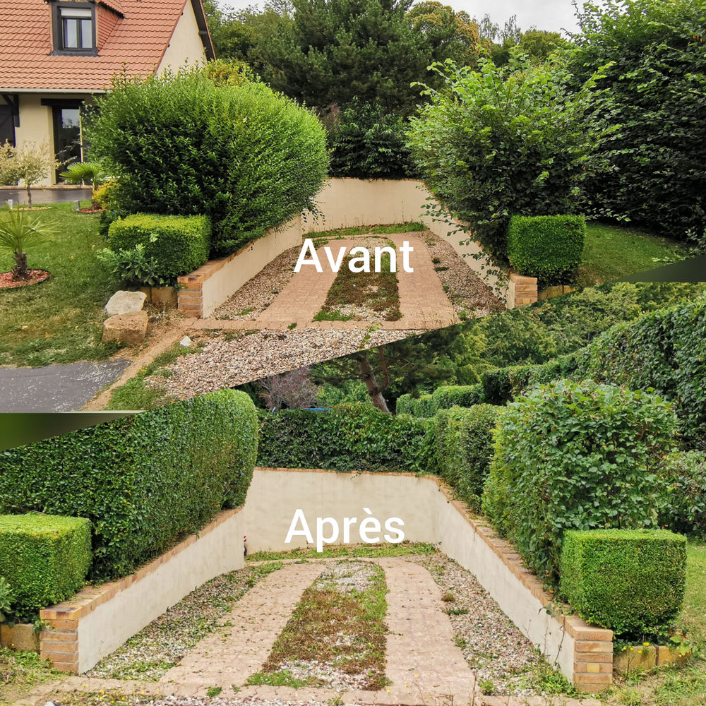 Entretien des espaces verts 0 76000 Rouen