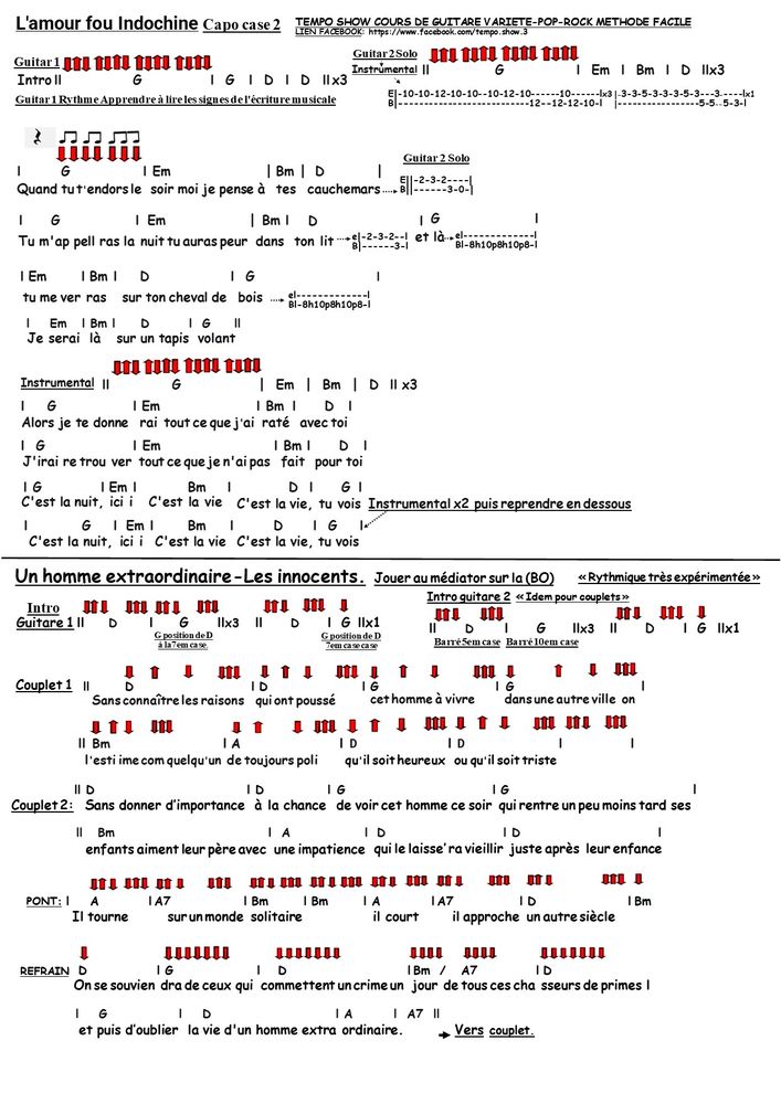 COURS DE GUITARE Pop Rock Blues Vari&eacute;t&eacute; salle &agrave; Solli&egrave;s-Pont 0 83210 Solli�s-pont