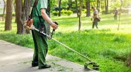 D&eacute;broussaillage 0 56300 Pontivy