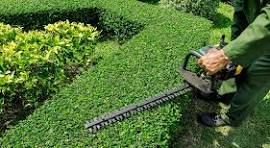 Taille de haie 0 56300 Pontivy