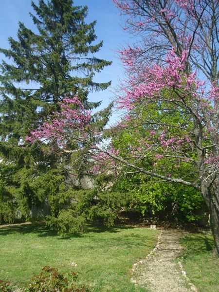 GARDE TOUTOU 0 69390 Millery