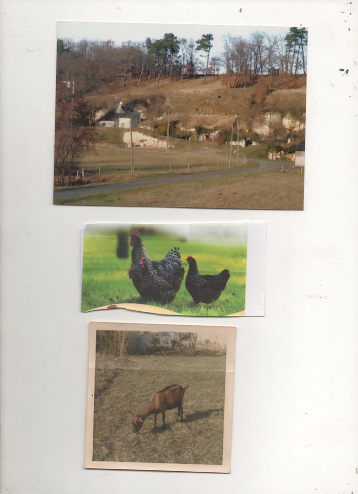 PROP S&eacute;RIEUSE ! CHERCHE 1 PERSONNE DE CONFIANCE POUR M'AIDER 0 49700 Louerre