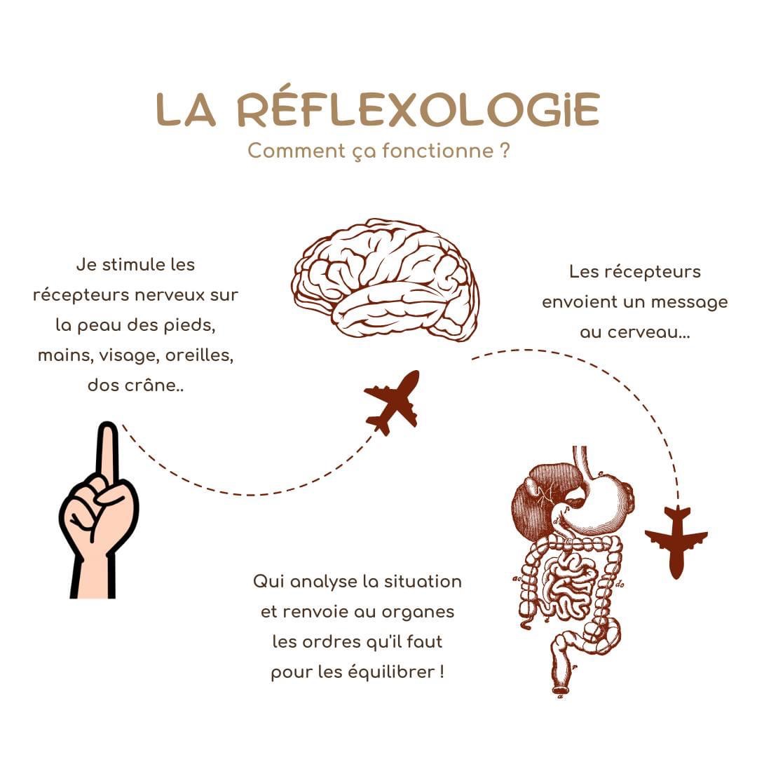 Apprenant massages r&eacute;flexes recherche  consultants  h/f 0 44220 Cou�ron