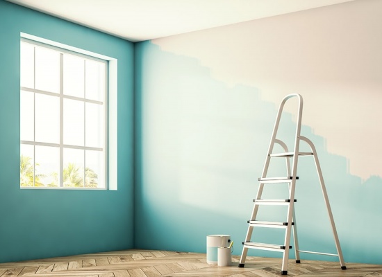 PRO PEINTURE-R&Eacute;NOVATION MARTINIQUE 0 97200 Martinique