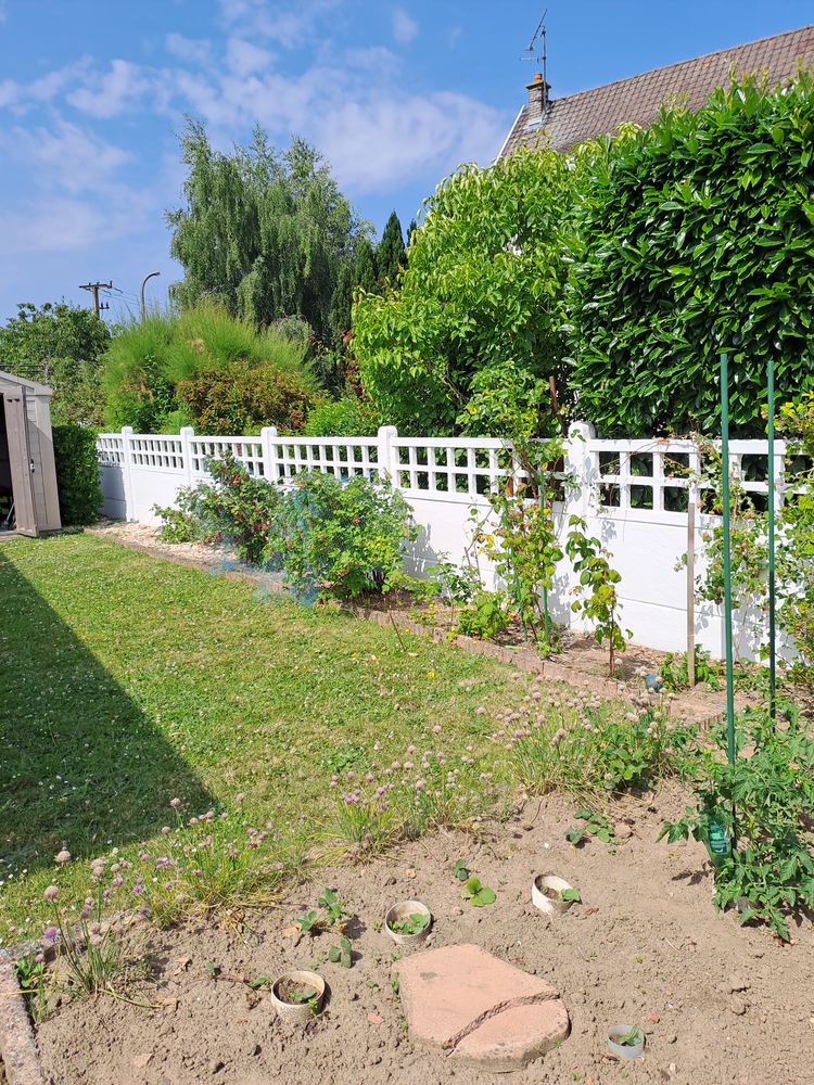 Tonte pelouse  taille de haies 0 62400 B�thune