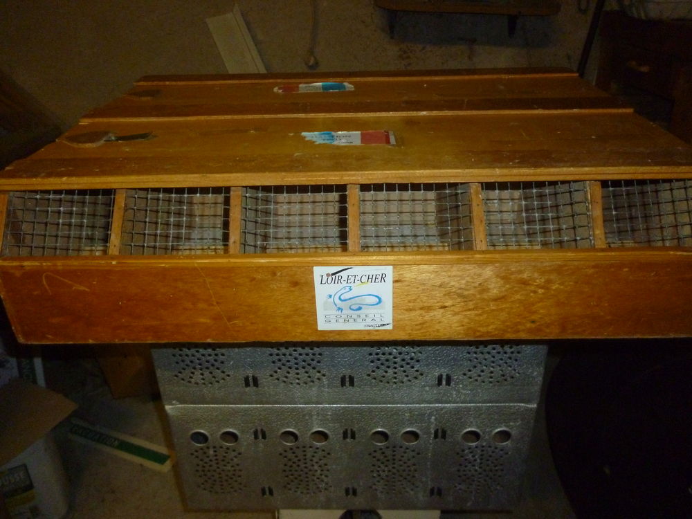 transport d oiseaux 0 41700 Le controis-en-sologne