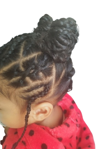 Tresses,boho braids,vanilles 0 67000 Strasbourg