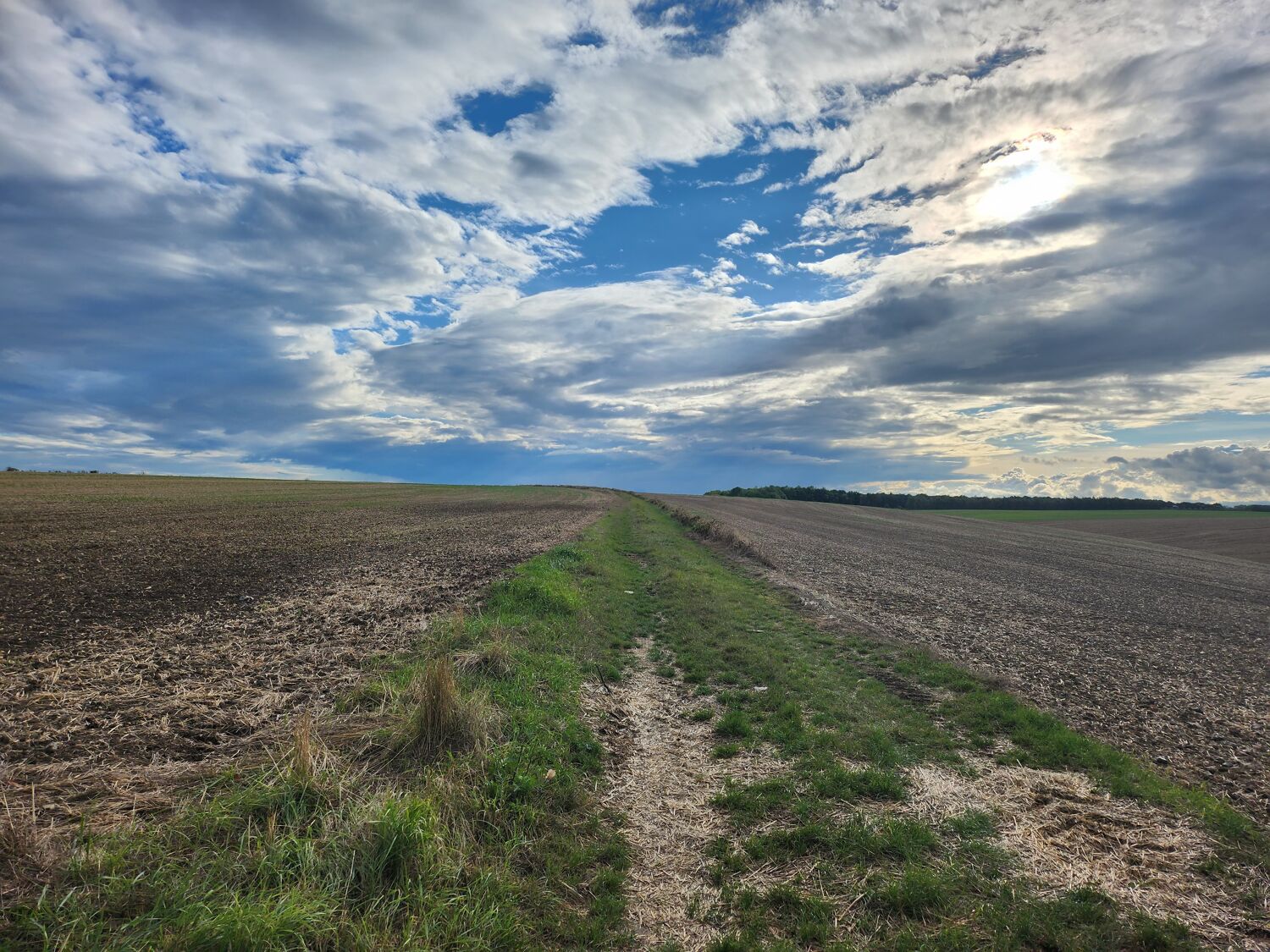 Garde d'animaux 0 78990 �lancourt