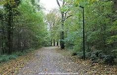 repassage   et raccommodages artisanal ( m&eacute;nage) 0 36600 Vicq-sur-nahon