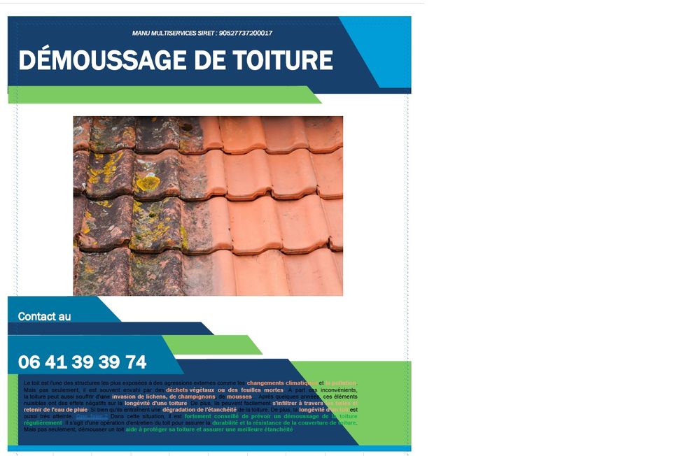 DEMOUSSAGE DE TOIT 0 21310 Mirebeau-sur-b�ze