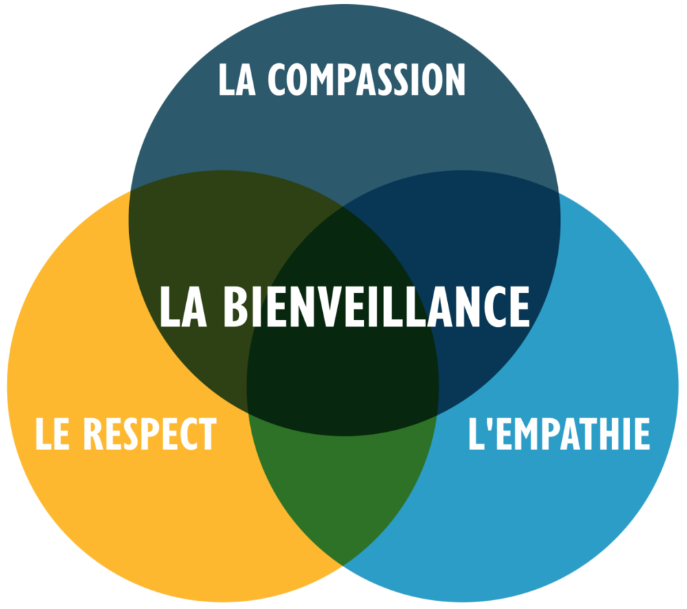 Assistante de vie Dipl&ocirc;m&eacute;e 0 85150 Saint-mathurin