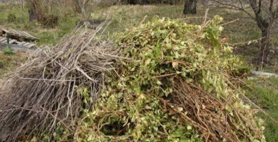 Entretien terrain et d&eacute;barras 0 49220 Le lion-d'angers