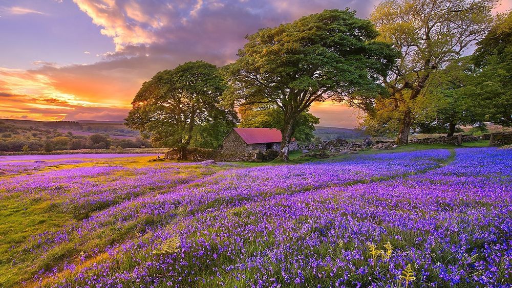 Jardinier-Entretien d'espaces verts 0 44400 Rez�