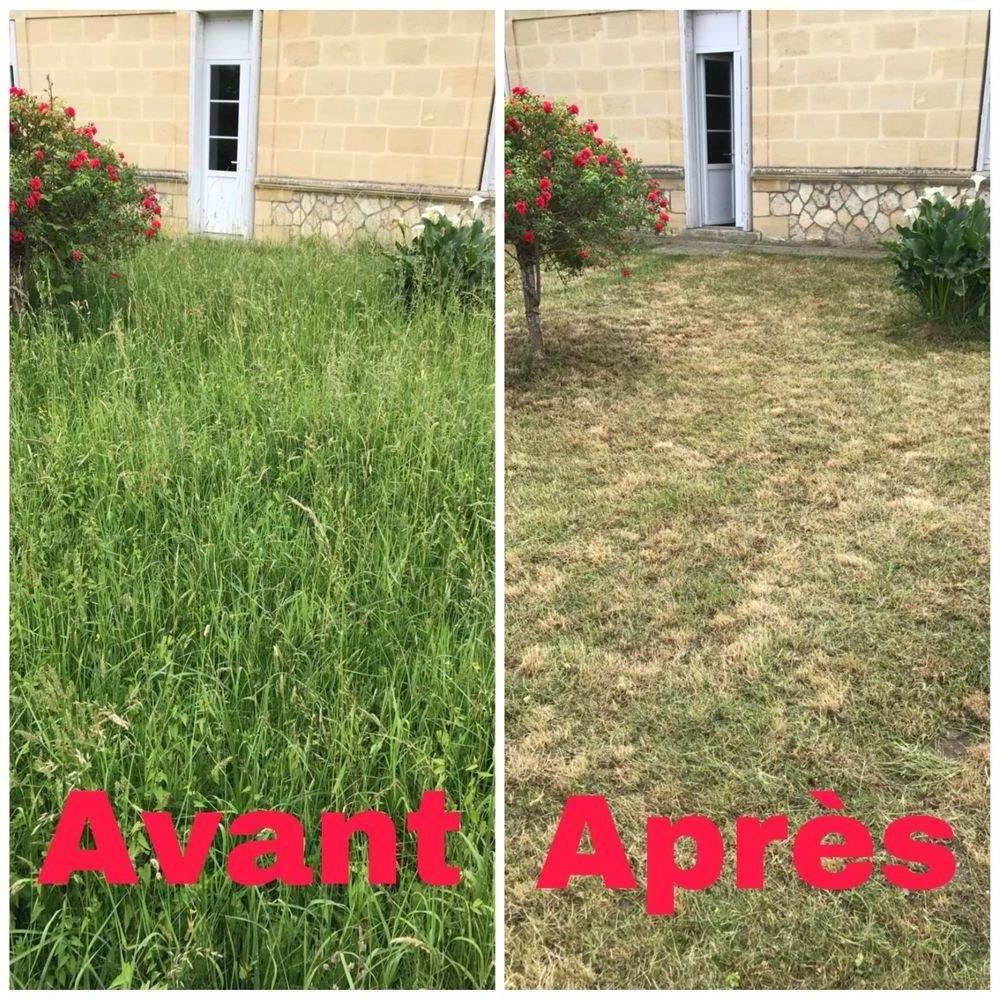 Tonte de pelouse et travaux de jardinage 0 94370 Sucy-en-brie