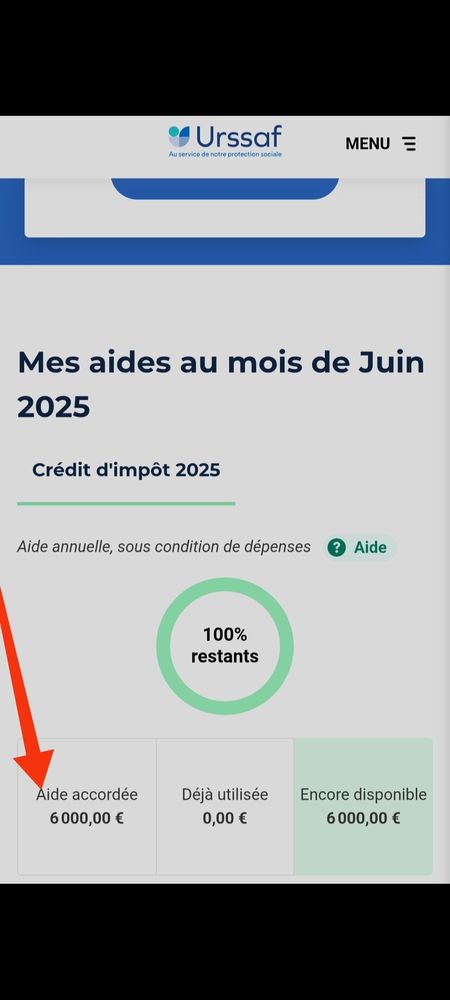 Cr&eacute;dit d'imp&ocirc;t de 6 000 � &agrave; proposer 0 42100 Saint-etienne